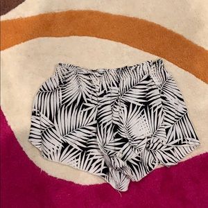 Palm tree print shorts